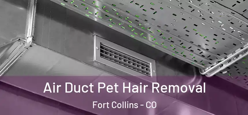 Air Duct Pet Hair Removal Fort Collins - CO