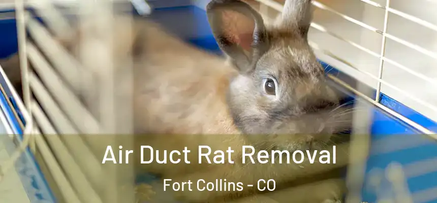 Air Duct Rat Removal Fort Collins - CO