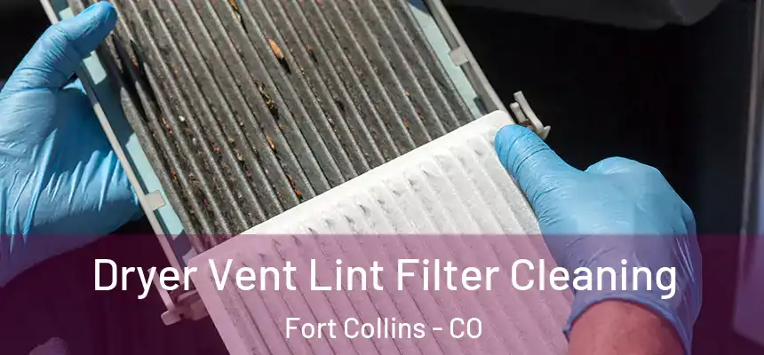 Dryer Vent Lint Filter Cleaning Fort Collins - CO