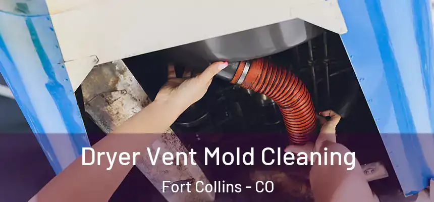Dryer Vent Mold Cleaning Fort Collins - CO