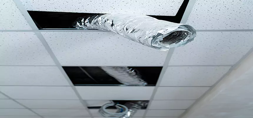 Our Air Duct Pet Hair Removal Services in Fort Collins, CO