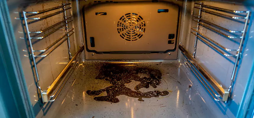 Our Dryer Vent Mold Cleaning Services in Fort Collins, CO