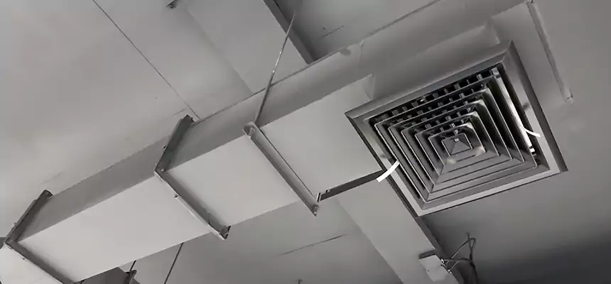 Our Rodent Droppings In Vents Services in Fort Collins, CO