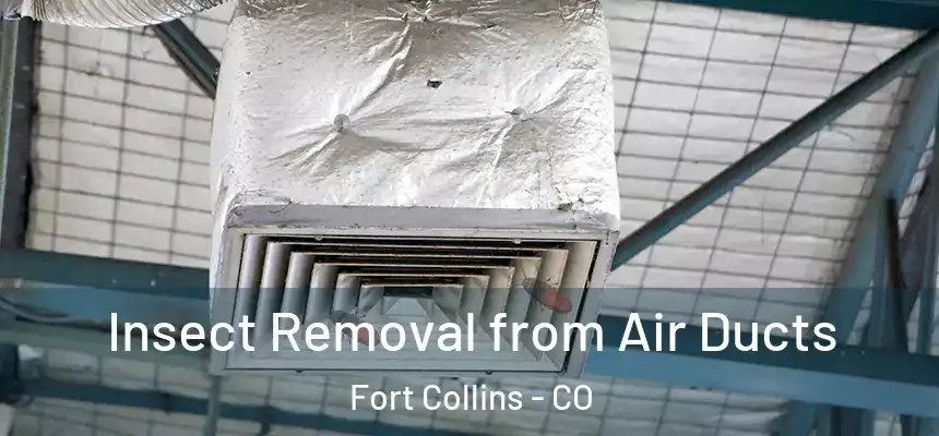 Insect Removal from Air Ducts Fort Collins - CO