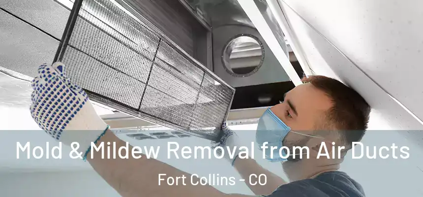 Mold & Mildew Removal from Air Ducts Fort Collins - CO