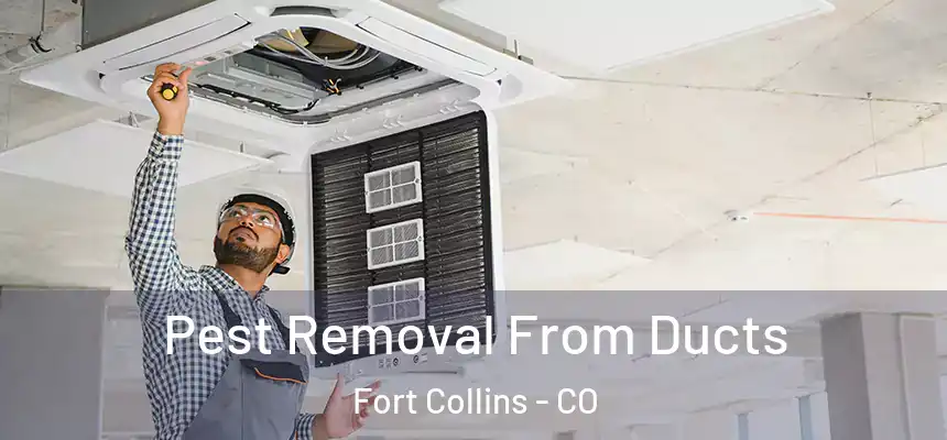  Pest Removal From Ducts Fort Collins - CO
