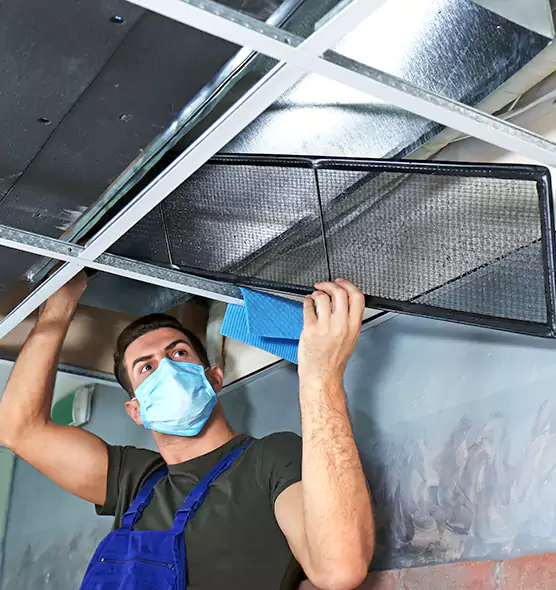 Professional Air Duct Pollen Cleaning in Fort Collins, CO