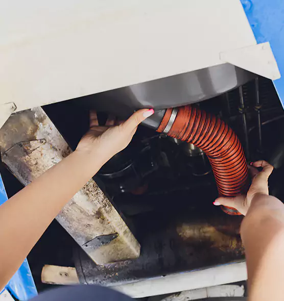 About Air Duct Virus Disinfection in Fort Collins, CO