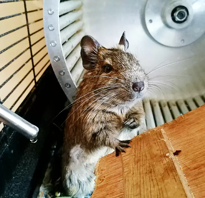 Why Homeowners & Businesses Trust Us Fort Collins, CO