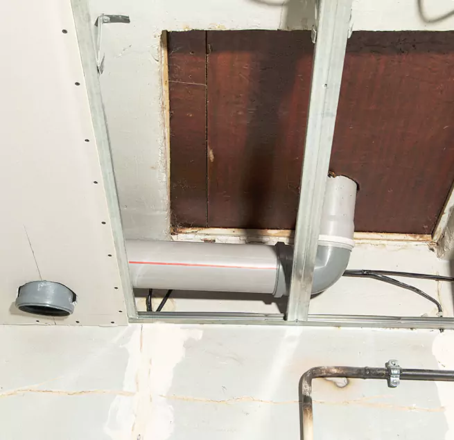 Why Homeowners & Businesses Trust Us in Fort Collins, CO?