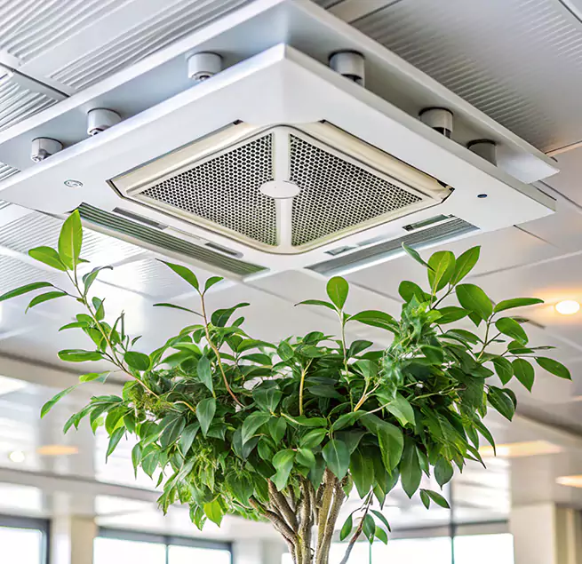 Why Homeowners & Businesses Trust Us in Fort Collins, CO