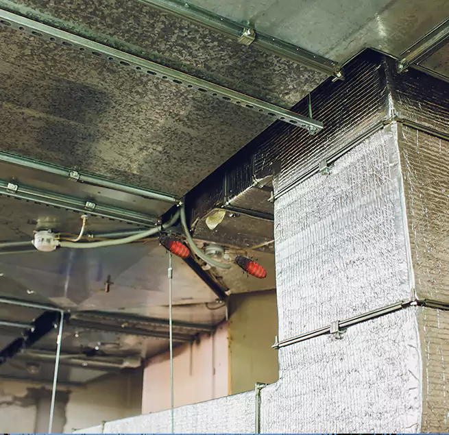 Why Homeowners & Businesses Trust Us Fort Collins, CO?