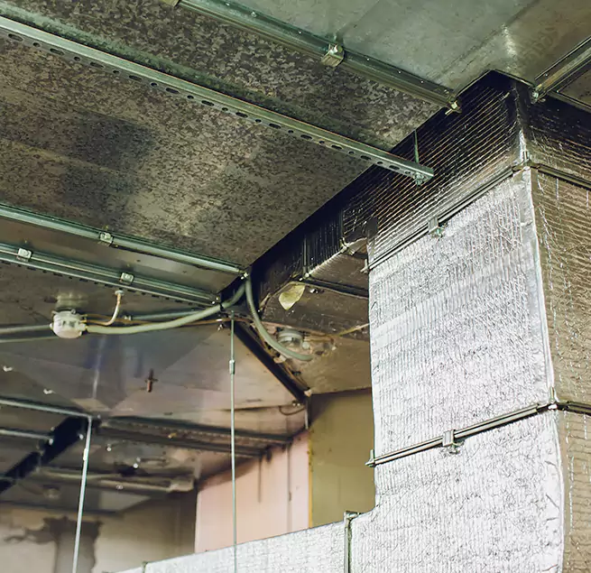 Why Homeowners & Businesses Trust Us in Fort Collins, CO?